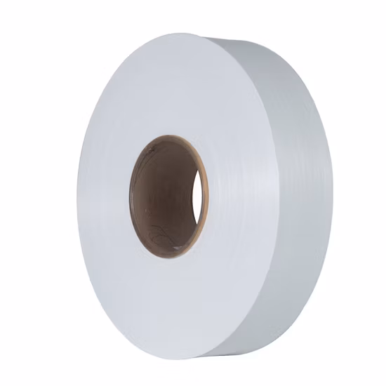 Elastic and Good Stretch PBT DTY 50d/24f Br Polyester Yarn